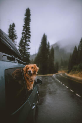 What is he looking at? Yeah, the future is always scary.